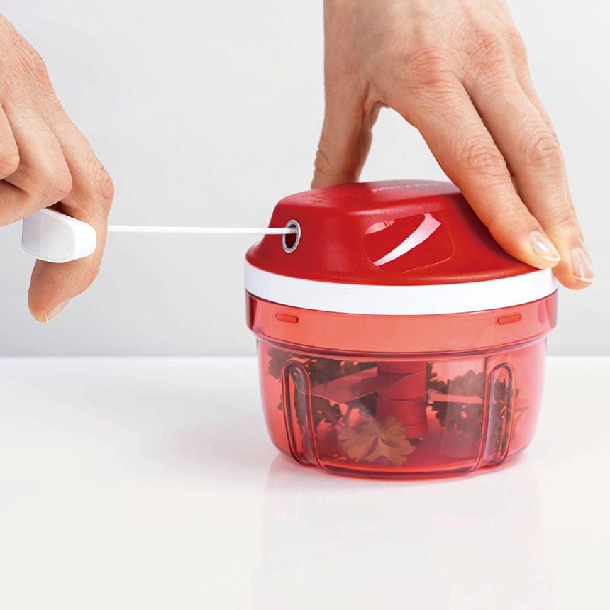 슈퍼 소닉 차퍼