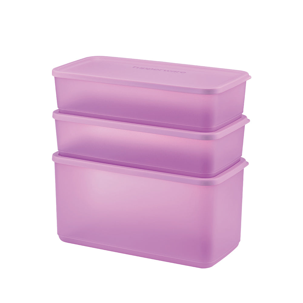 싱싱블록 직사각 세트 (3개)