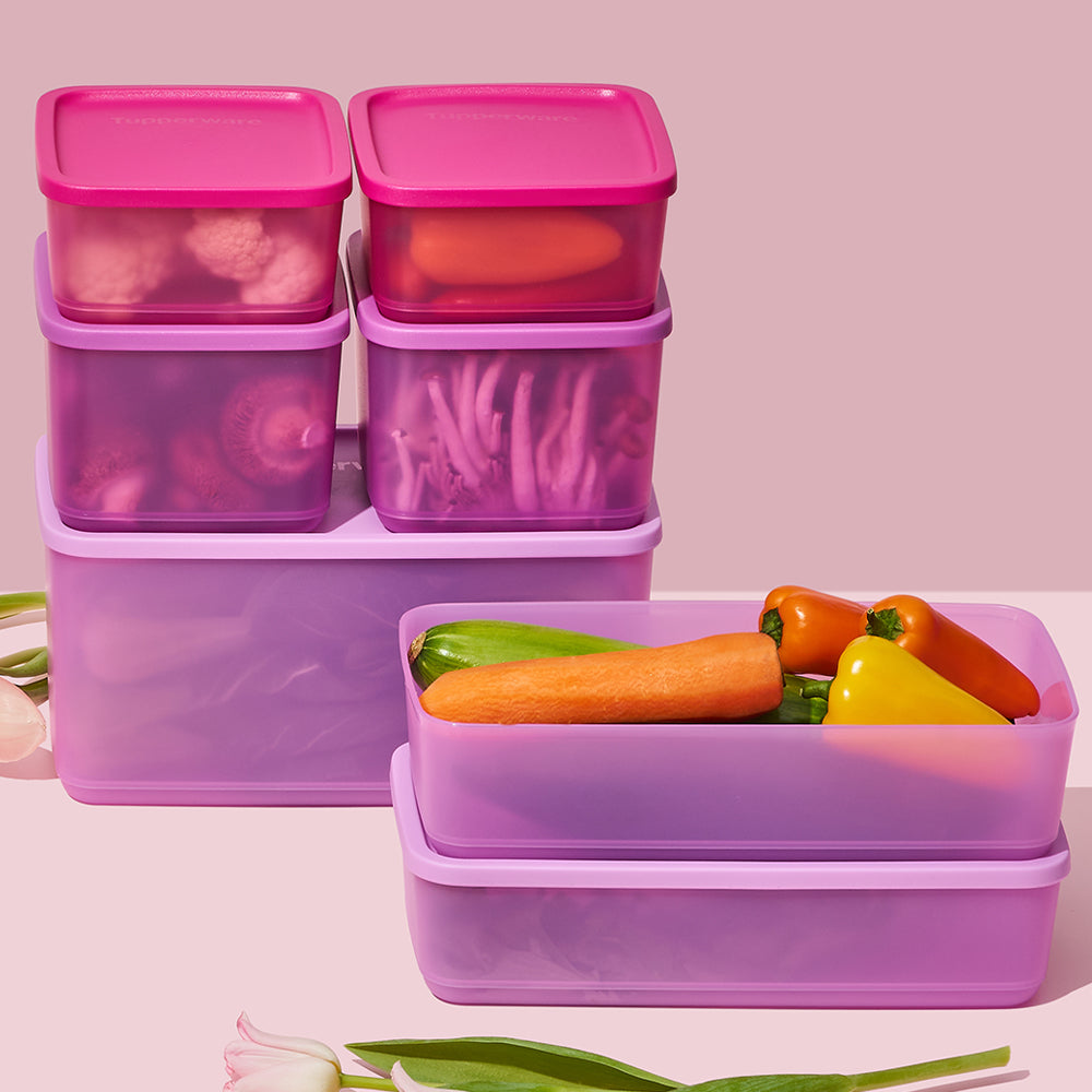 싱싱블록 직사각 세트 (3개)