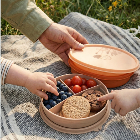 타피 칸막이 플레이트 3P